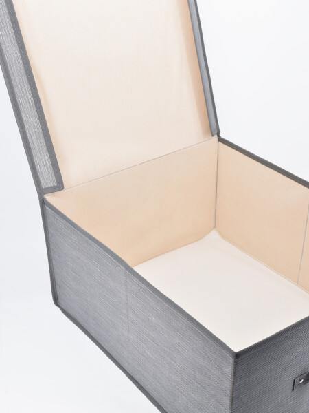 CAJA ORGANIZADORA BEIGE TNT GRIS (V)