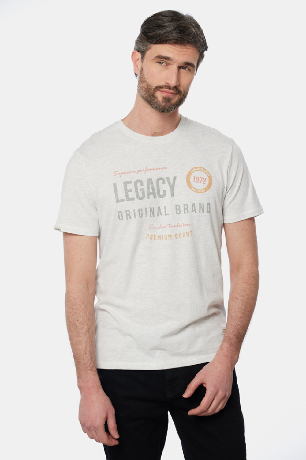 REMERA ESTAMPADA Gris