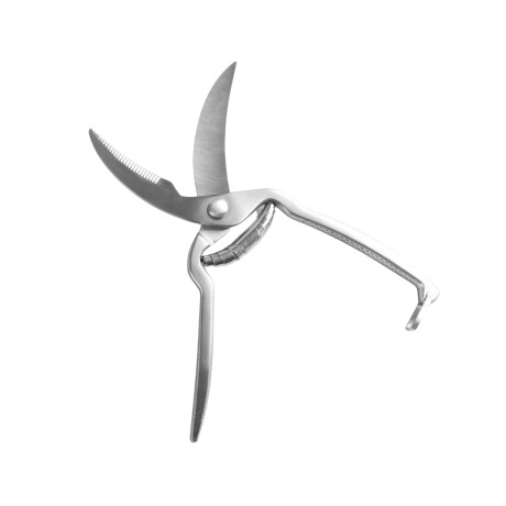 Tijera para Pollo 25 cm Acero Inoxidable Lacor Tijera para Pollo 25 cm Acero Inoxidable Lacor