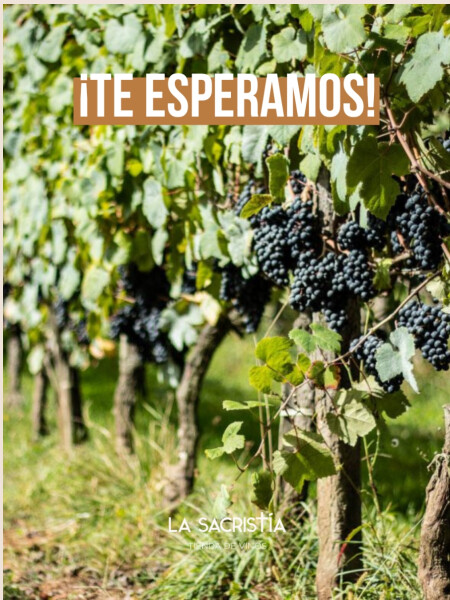 Degustación Rutini 6/11 Degustación Rutini 6/11