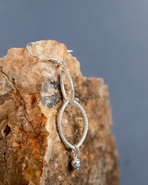 Caravanas Moscu PLATEADO