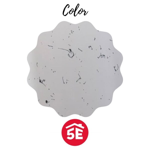 MESADA MARMOLINA 1.20 MT CON VALVULA PLASTICA - VETEADO BLANCO MESADA MARMOLINA 1.20 MT CON VALVULA PLASTICA - VETEADO BLANCO