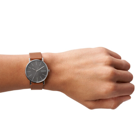 Reloj Skagen Clasico Cuero Marron 0