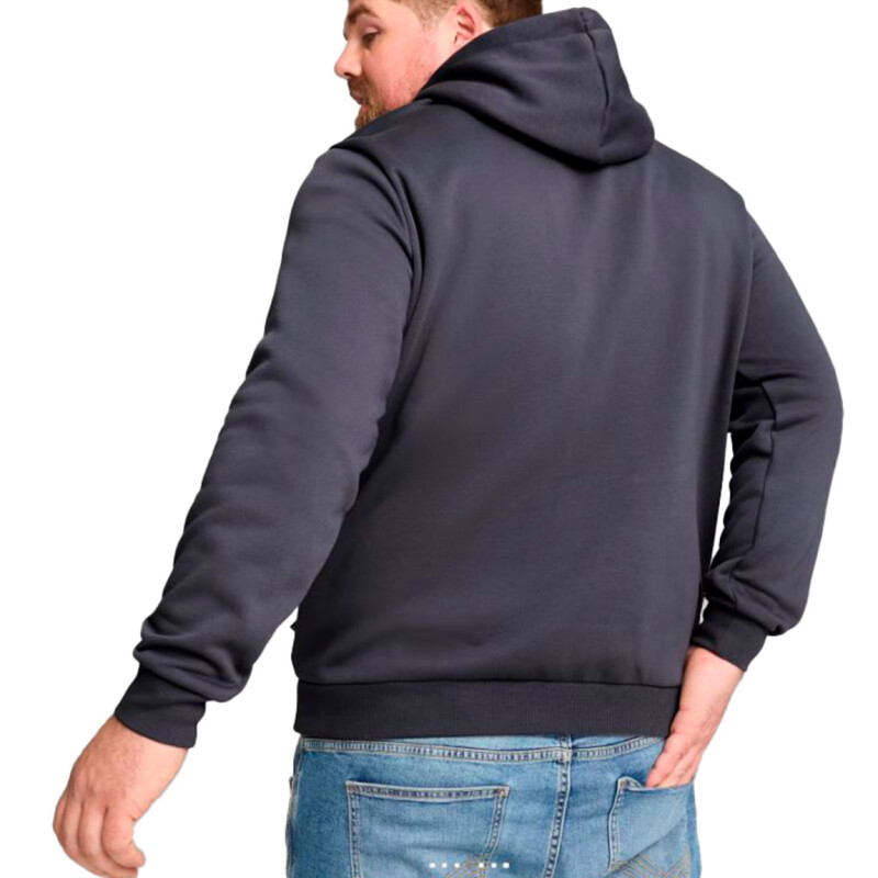 Puma Ess+ 2 Col Small Logo Hoodie Fl Gris