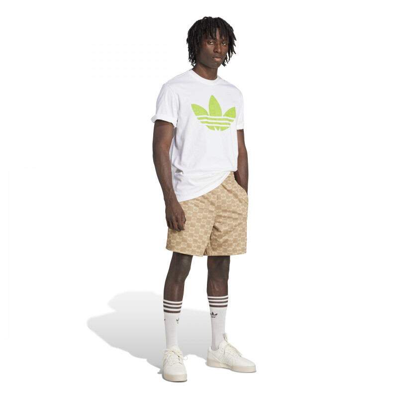 REMERA ADIDAS GRAPHIC LO SS T Hombre JY2983 Blanco