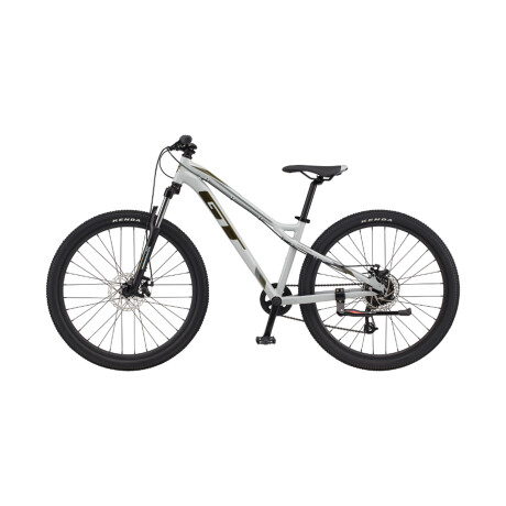 Bicicleta Juveniles GT STOMPER PRO R26" Gris