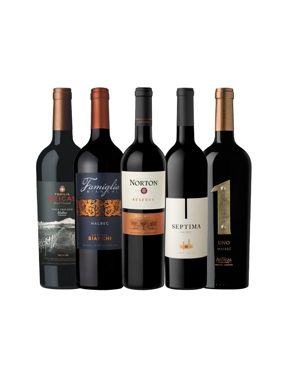 Pack Selección Best Seller x5 vinos premium Pack Selección Best Seller x5 vinos premium