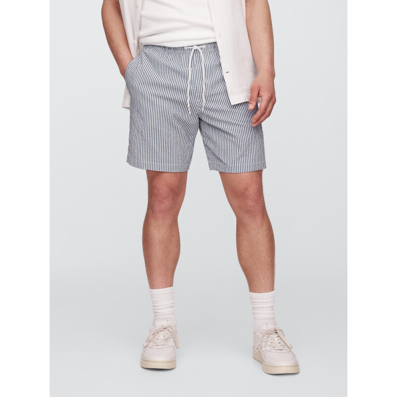 V-6IN SWIM TRUNK BLUE STRIPE