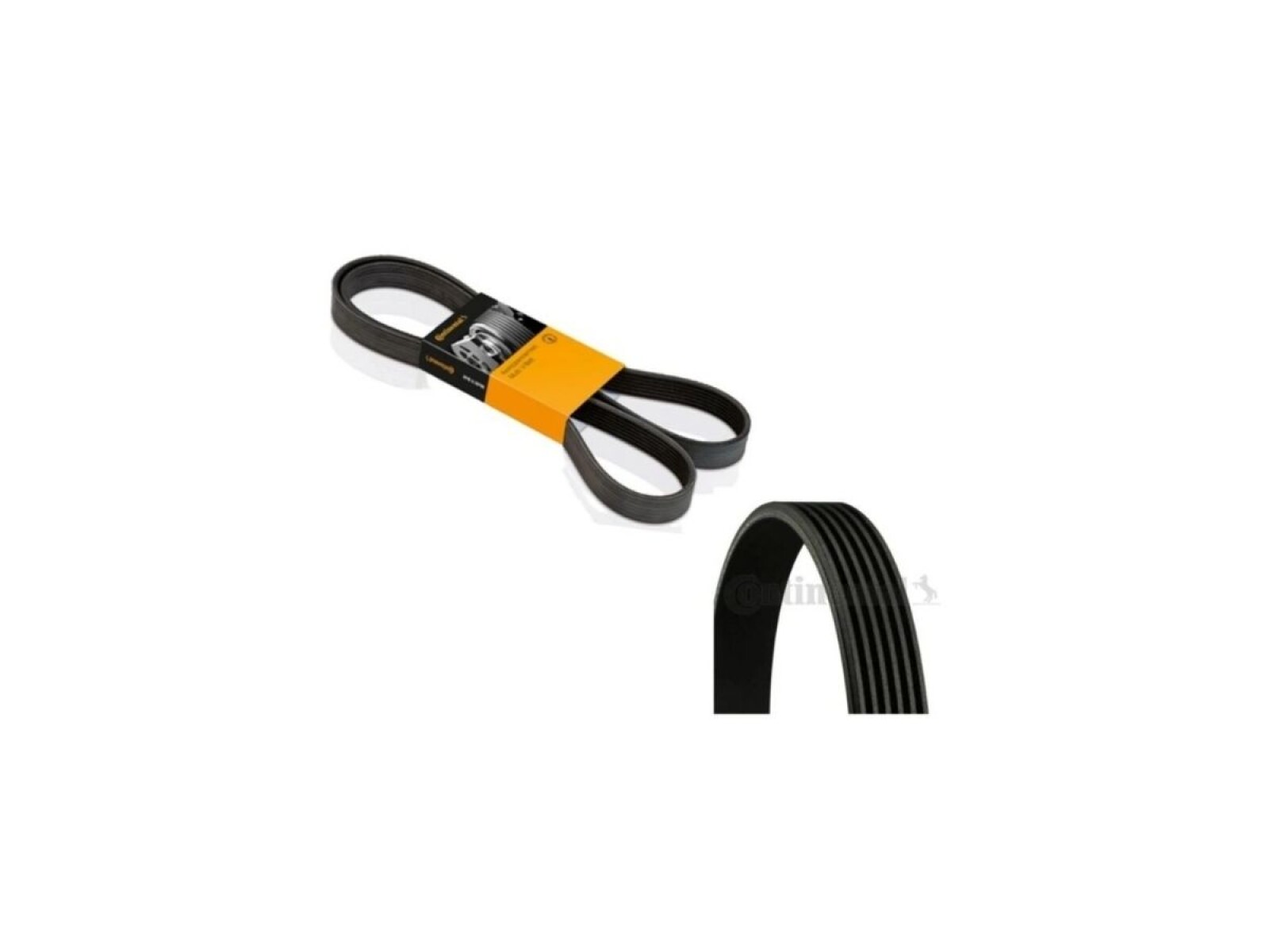 8PK1375 Correa de Accesorios Continental 