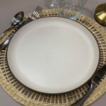 PLATO DE MESA D27CM LINEAS CREMA BORDE NEGRO PLATO DE MESA D27CM LINEAS CREMA BORDE NEGRO