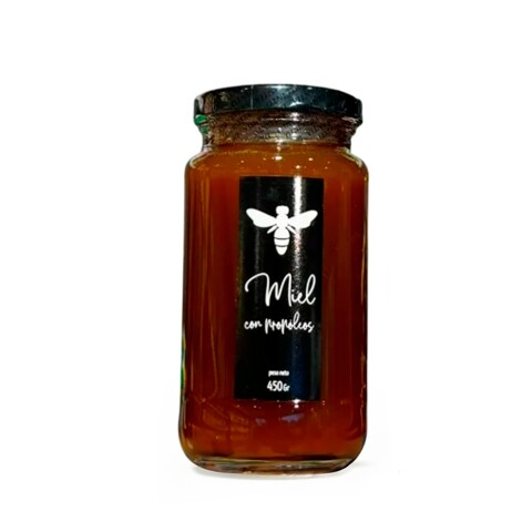 Miel con propóleo Guillermo González 450g Miel C/propoleos 450gr Apiario