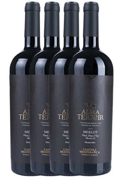 Pack 4x3 Merlot Alma Terroir Canteras de Montes de Oca Pack 4x3 Merlot Alma Terroir Canteras de Montes de Oca