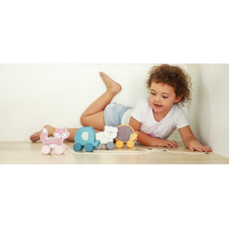 Juego de arrastre animales madera Polar B Erizo