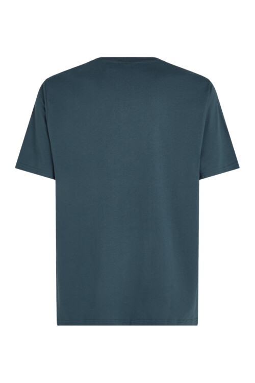 Remera O'Neill Future Surf - Azul Remera O'Neill Future Surf - Azul