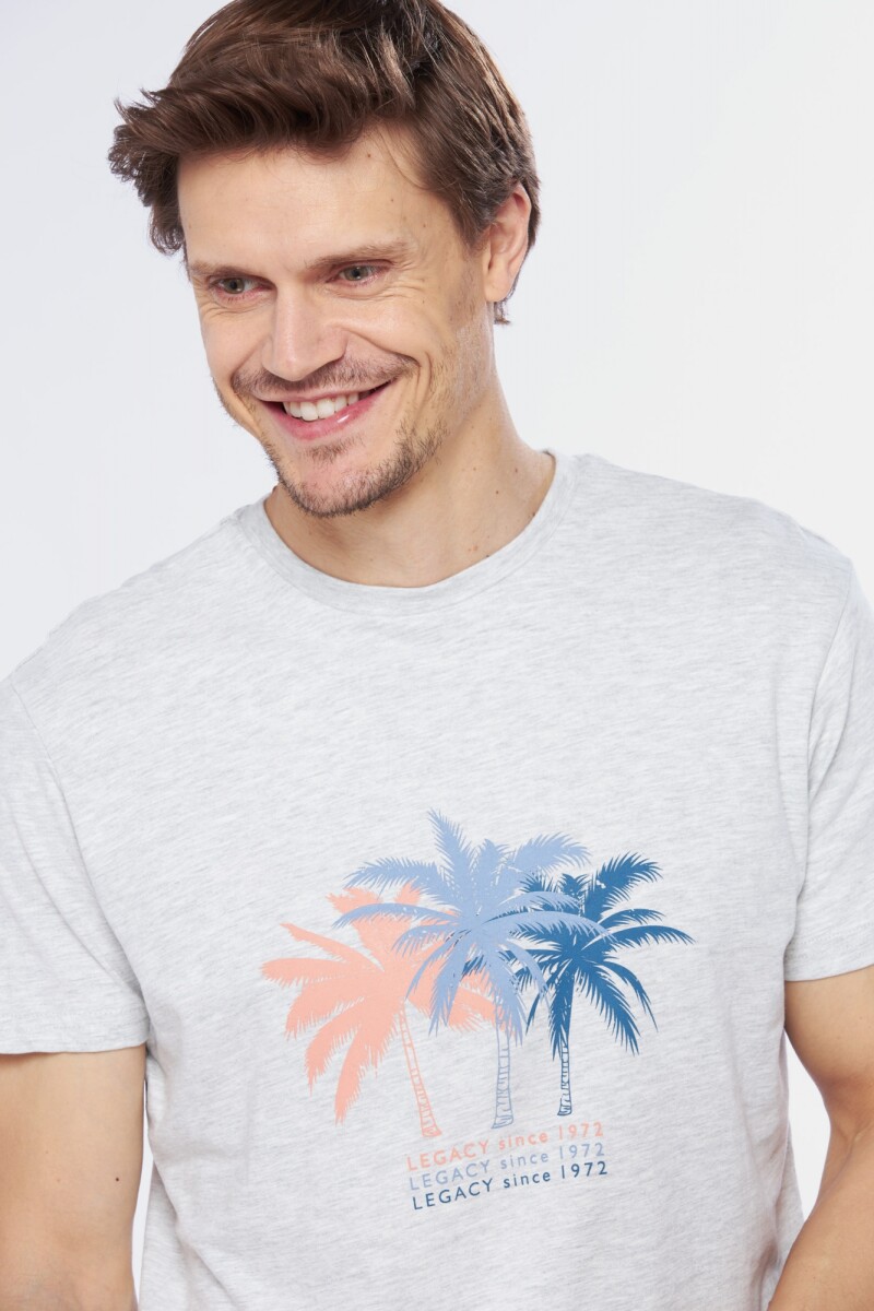 REMERA ESTAMPADA - Gris 