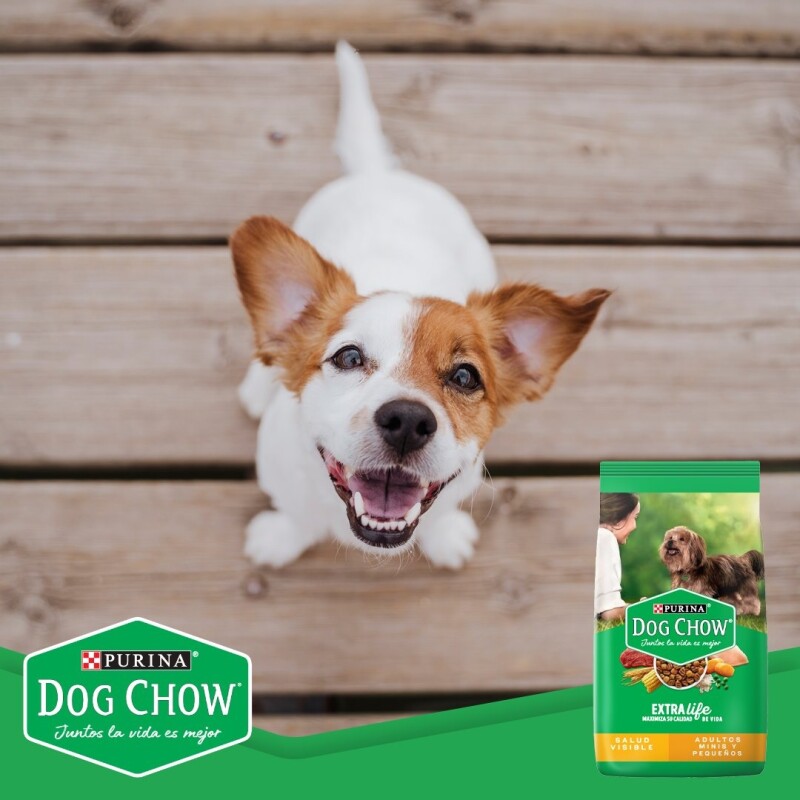 DOG CHOW PERROS ADULTOS RAZAS MINIS Y PEQUEÑAS 21 KG