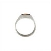 Anillo Profesión Contador - Plata y Oro-Sin Piedra-AP5045 ap5045