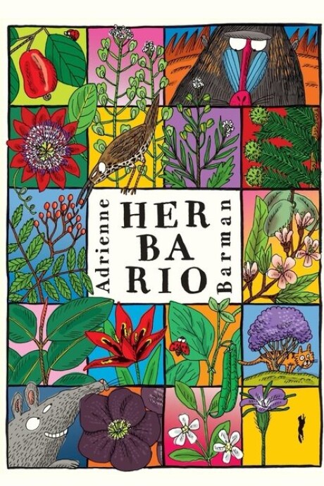 HERBARIO HERBARIO