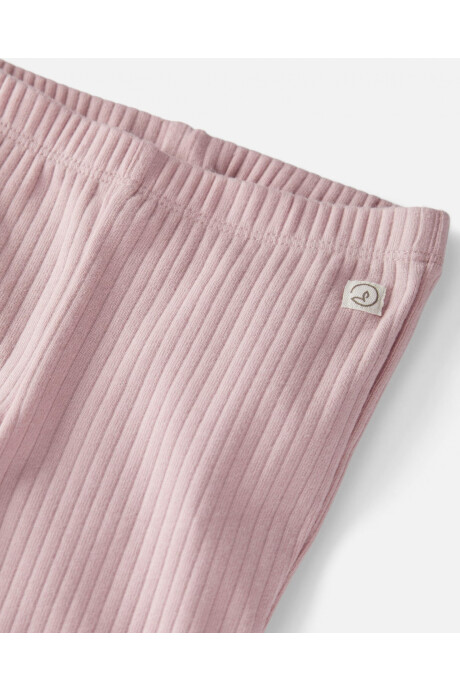 Pack dos pantalones de algodón orgánico, acanalados Sin color