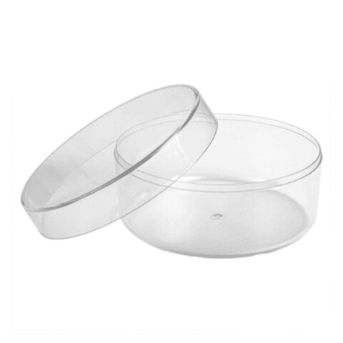 Cake Box Redonda 2000ml Cake Box Redonda 2000ml