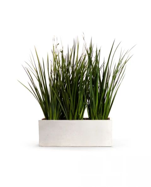 KIT Jardinera "natural" - 80cm* 30cm* 30cm* con dietes y sustrato KIT Jardinera "natural" - 80cm* 30cm* 30cm* con dietes y sustrato