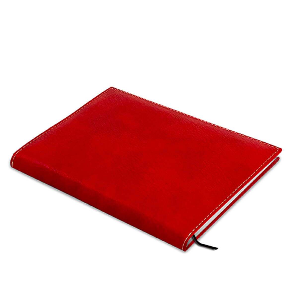 AGENDA ESTANDAR - CARMIN 
