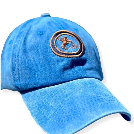 Gorras Bagual Azul