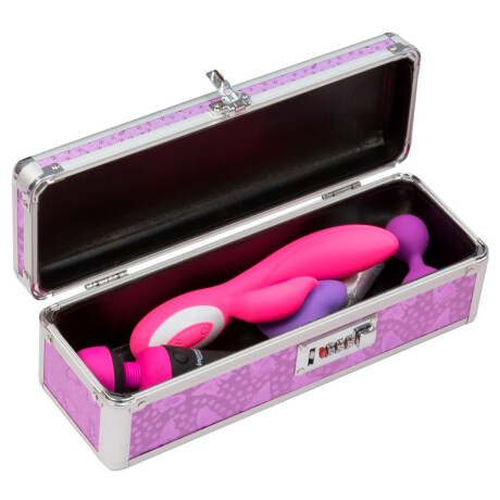 Porta Juguetes con Cerradura The Toy Chest Chico Violeta