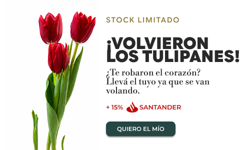 PopUp Banner - TULIPANES