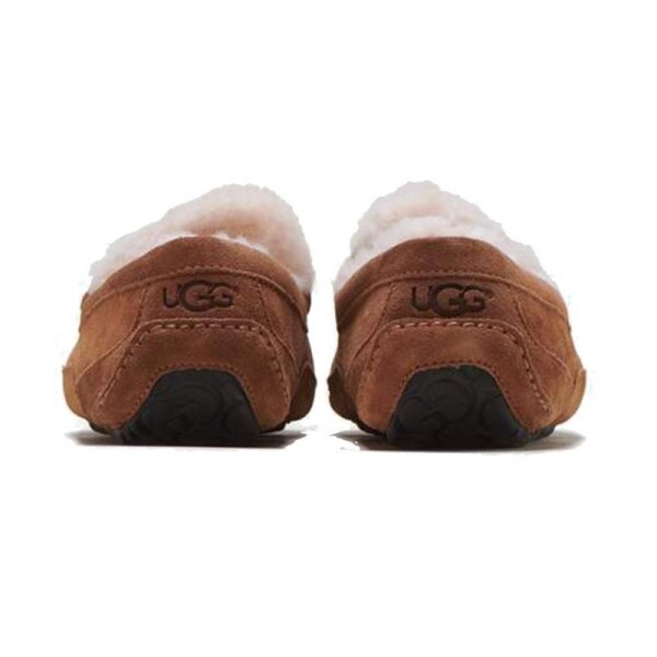Calzado UGG Ascot Marrón