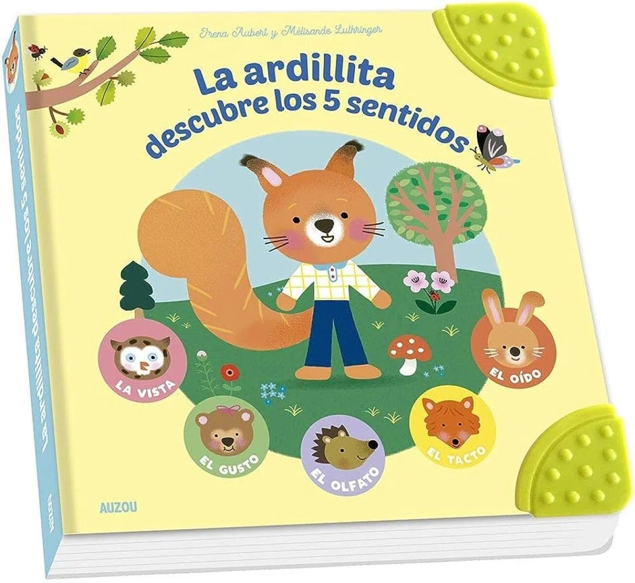 LA ARDILLITA DESCUBRE LOS 5 SENTIDOS 