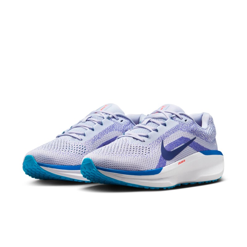 Championes Nike Winflo 11 de Hombre Gris