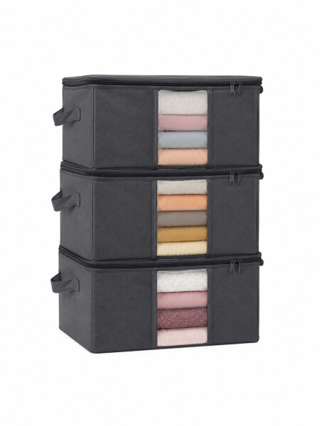 CAJAS ORG CON VISOR SET 3P GRIS