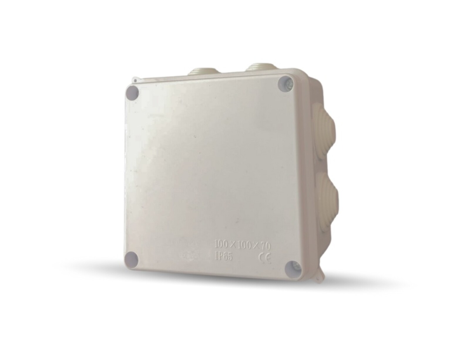 CAJA EXT. PLAST. DE CONEXION 100X100 