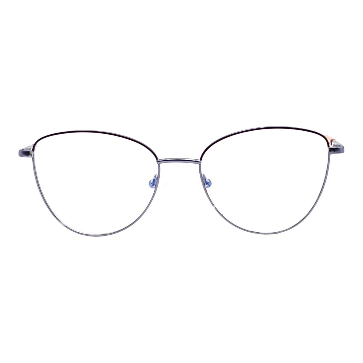 DN990623 - violetauniforme 