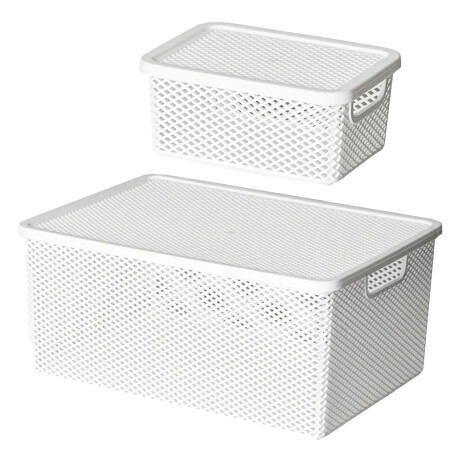 Set X2 Cajas Canastos Organizadores con Tapa Línea Paramount Blanco