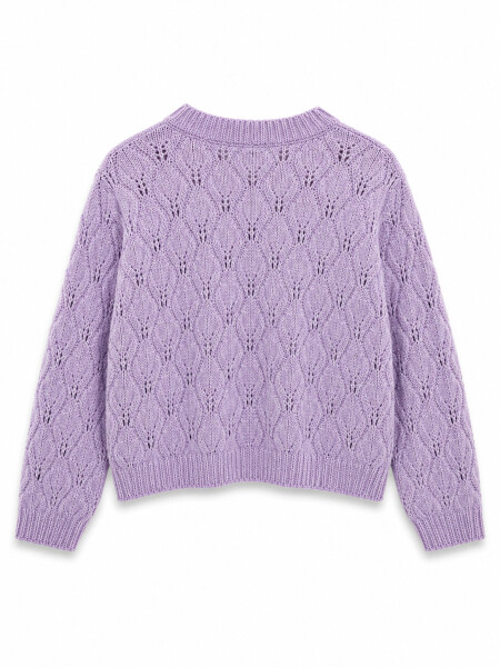 BUZO ROSA LILA