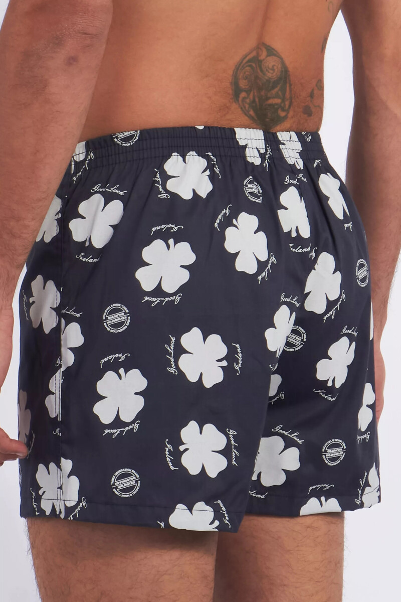 Bóxer Kevingston T34