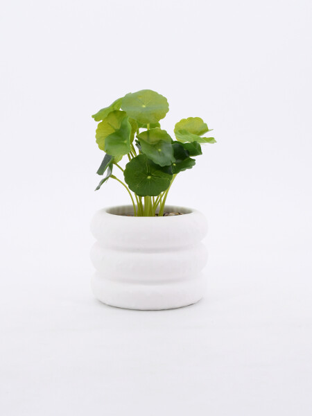 MACETA CERAMICA CON PLANTA BLANCO