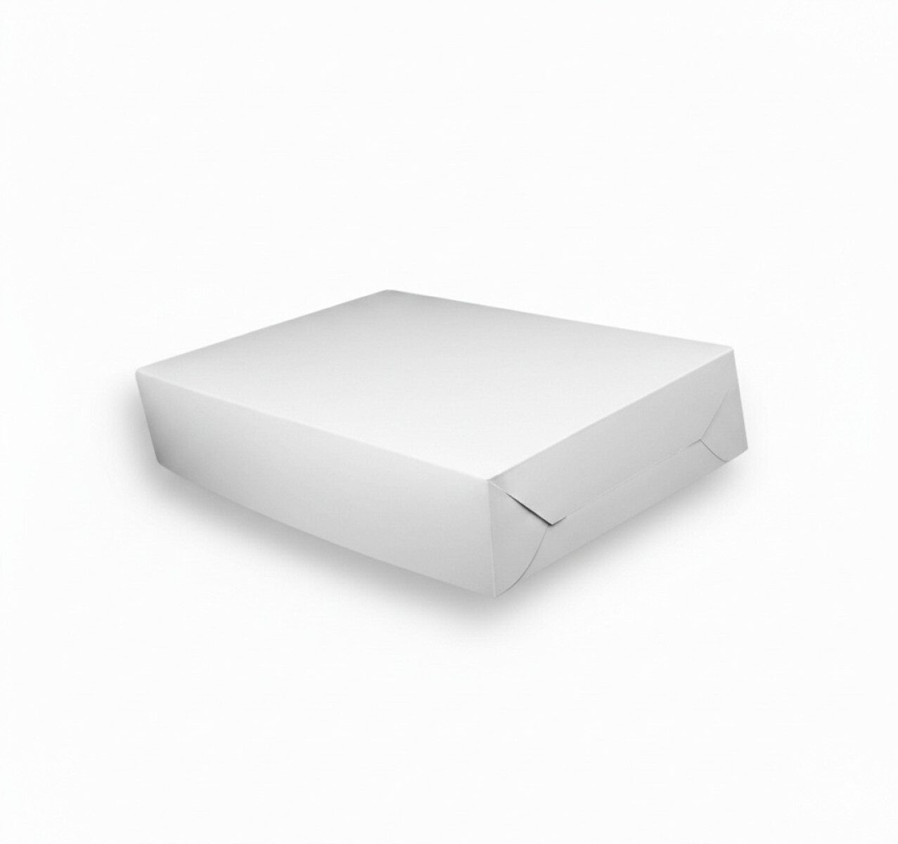 CAJA LISA PARA 100 SANDWICHES 