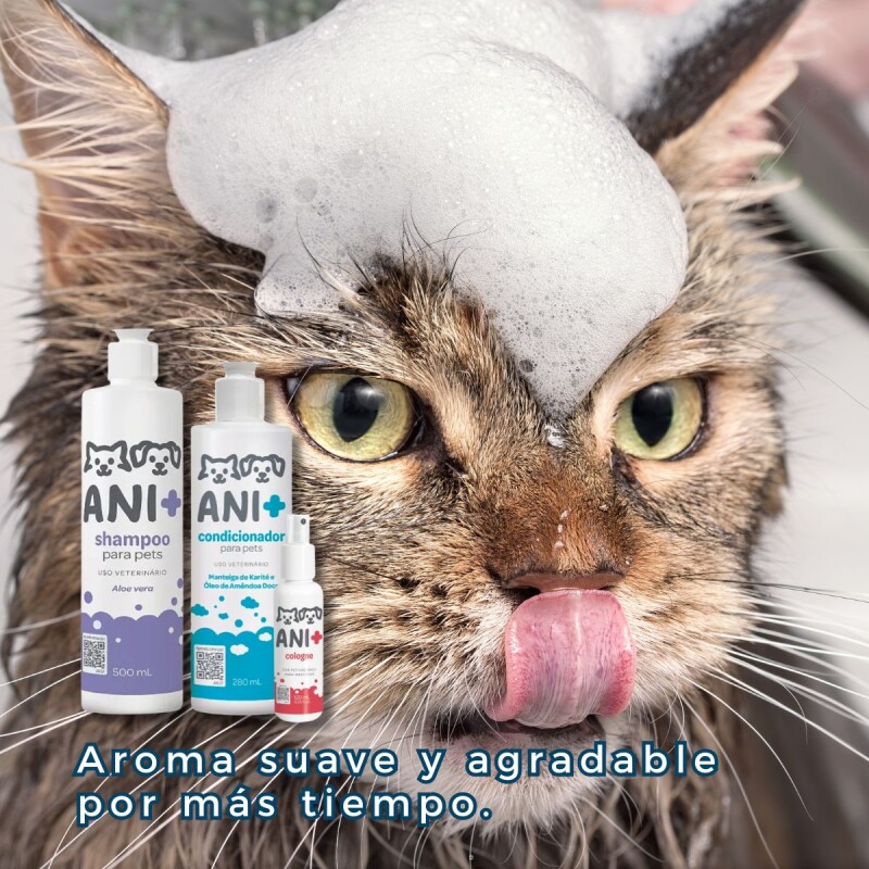 KIT ANI+ SHAMPOO ACONDICIONADOR Y COLONIA PARA PERROS Y GATOS KIT ANI+ SHAMPOO ACONDICIONADOR Y COLONIA PARA PERROS Y GATOS