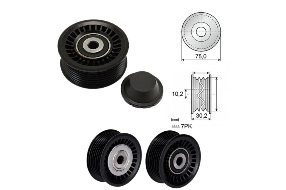 Tensor Guia Correa Renault Clio/Captur/Duster/Kangoo 12-25 Tensor Guia Correa Renault Clio/Captur/Duster/Kangoo 12-25