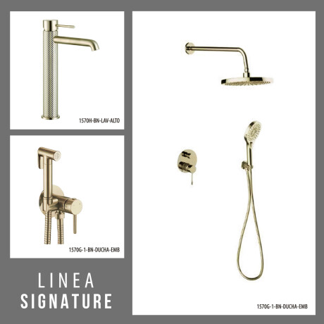 JUEGO DE GRIFERIA LAVATORIO ALTO DUCHA EMBUTIDA Y DUCHA HIGIENICA Brushed Nickel 000