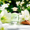 Dolce&Gabanna Dolce Eau de Parfum 50ml - Femenino