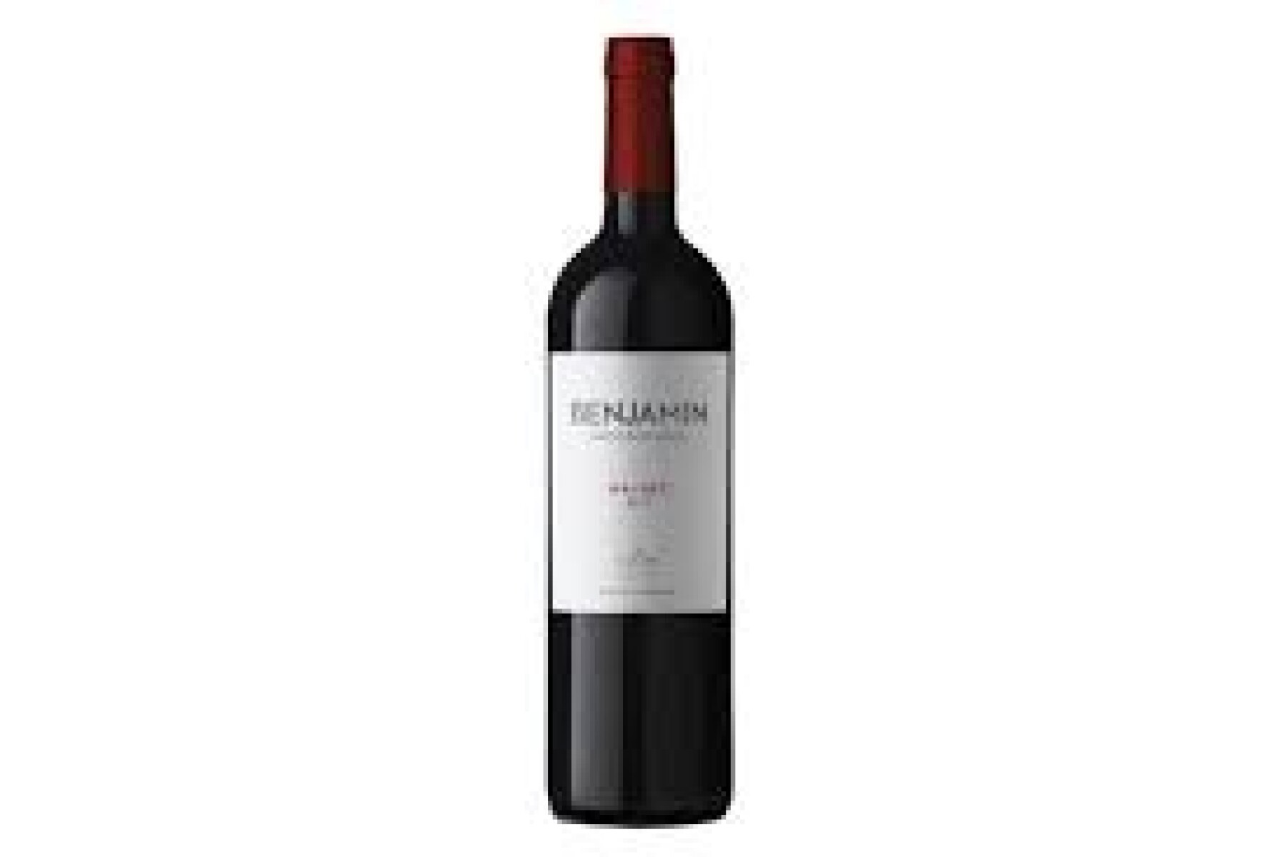 Vino Benjamin Nieto Senetiner Malbec 750 Ml 