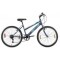 Bicicleta Baccio R.24 Niña Mtb Alpina Gris/turquesa