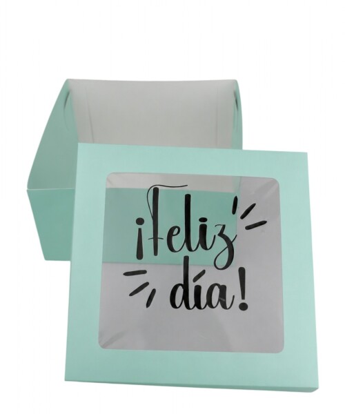 Caja flexi 20x20x9,5. c/visor impreso VERDE AGUA - LISO
