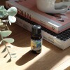 Aceite 10ml hornito Limpia Casa