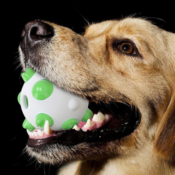 Pelota Juguete Perros Molar Macizo Limpia Dientes Resistente Color Variante Blanco Verde