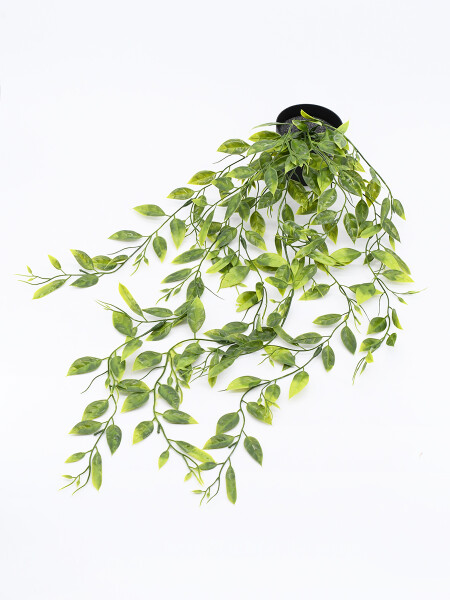 PLANTA COLGANDE CON MACETA VERDE